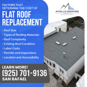 Apollo Roofing Company San Rafael 5 8 1