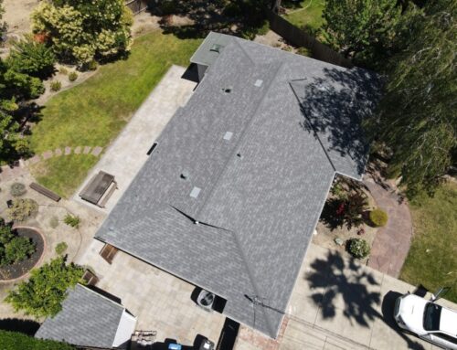Top Signs Your Shingle Roof Needs Immediate Repair