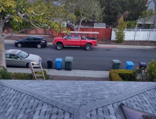 Why Is Shingle Roof Replacement in Novato Important?