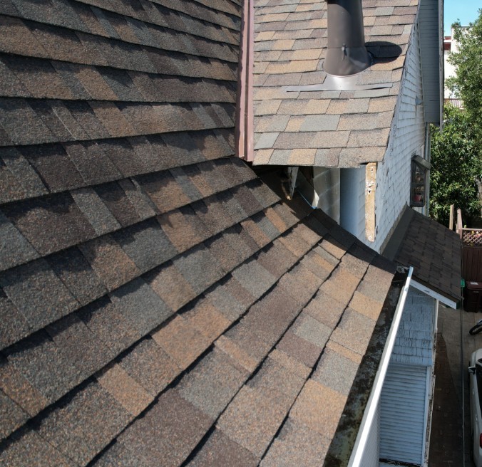 Signs That Indicate the Need for Shingle Roof Replacement