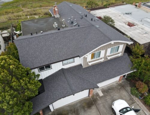 DIY vs. Professional Shingle Roof Replacement: What You Need to Know
