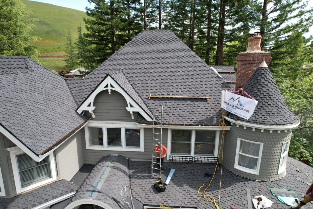 Professional Roof Repair