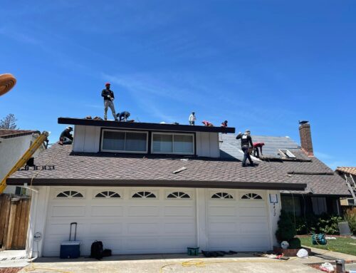 Roof Repair Dilemma: Should Novato Residents DIY or Hire Professional Roof Repair Services?