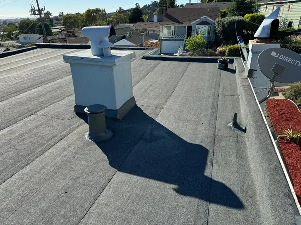 Professional Roof Services 