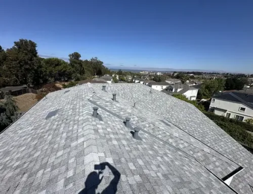 How Shingle Roof Replacement Boosts the Curb Appeal and Value of Your San Francisco Property