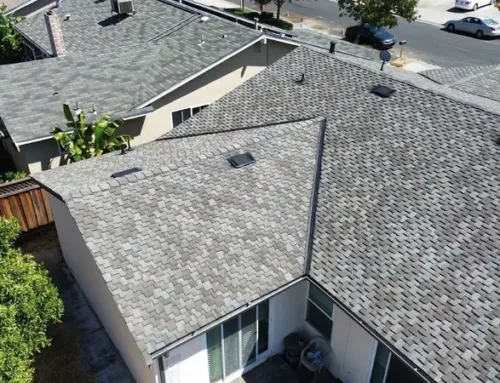 Is it Time to Repair or Replace your Shingle Roof?