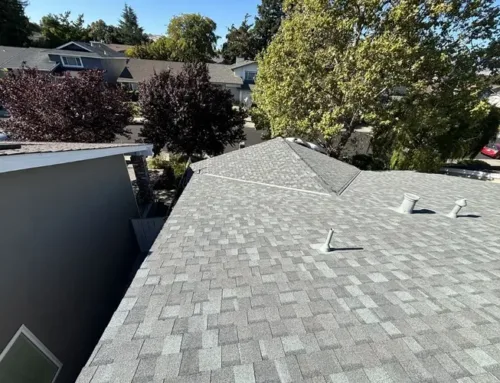 Why January Is the Best Time for Shingle Roof Replacement in Milpitas