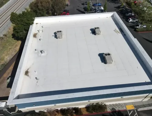 Top Factors That Influence Flat Roof Replacement Cost in San Francisco