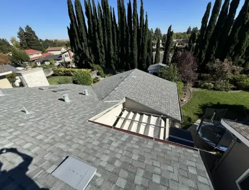 Common Causes of Roof Damage Requiring Emergency Repairs in Novato