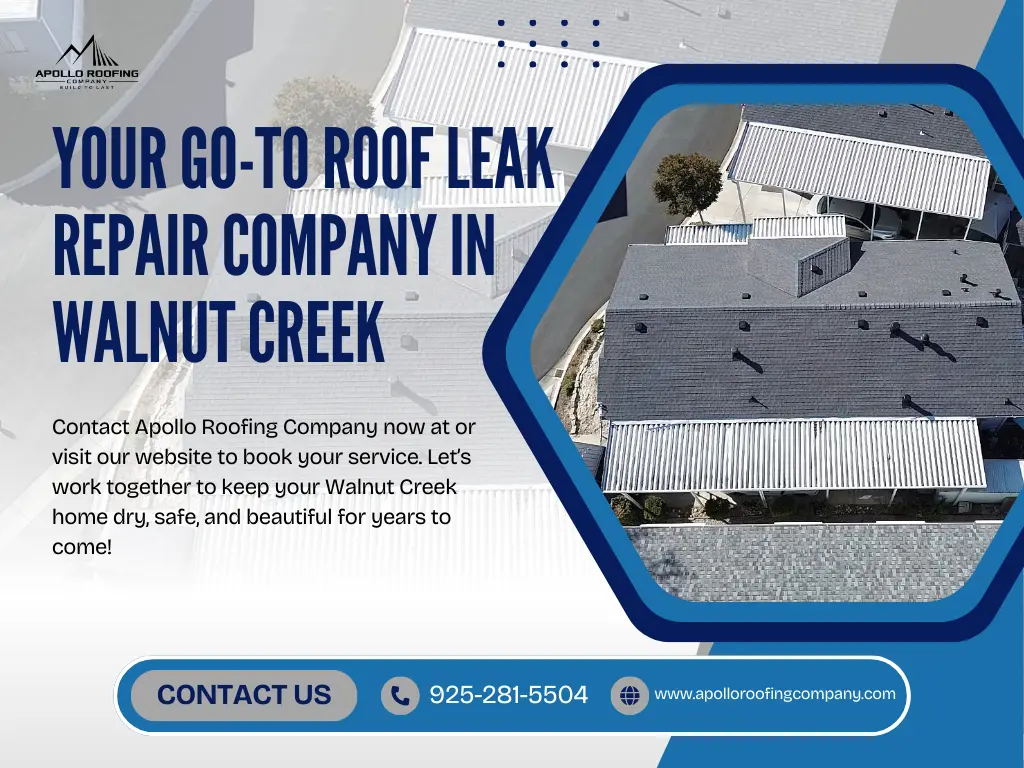 Roof Leak Repair Company in Walnut Creek