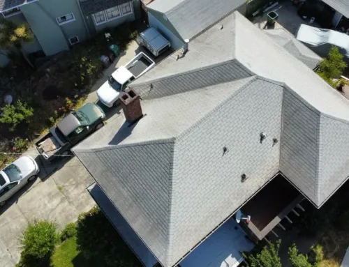 Why Asphalt Shingles Are the Best Roofing Option for Homes in Novato