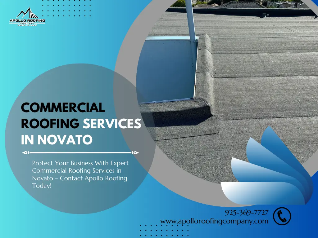 Expert Commercial Roofing Services in Novato