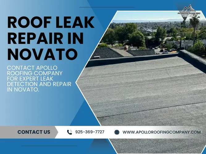 Importance of Timely Action in Roof Leak Repair