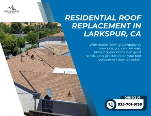 How to Get Ready for a Roof Replacement in Larkspur: A Homeowner’s Guide