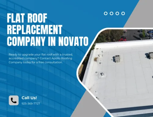 Why Accreditation Matters When Choosing a Flat Roof Replacement Company in Novato