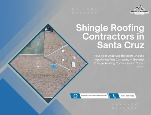 How to Choose the Best Shingle Roof Color for Your Home’s Style and Climate