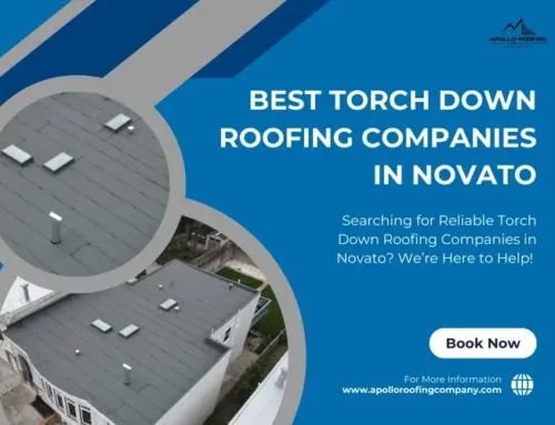 Torch Down Roofing vs. TPO Roofing: Which Is Better for Your Novato Property?