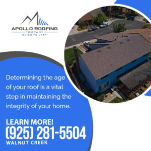 Apollo Roofing 6 1