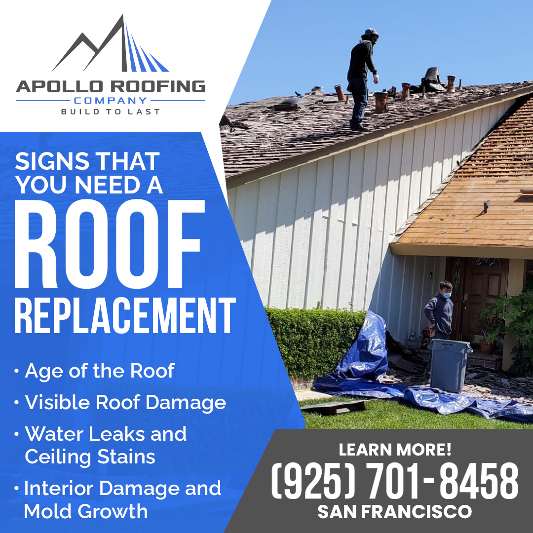 Signs That You Need A Roof Replacement | Apollo Roofing Company