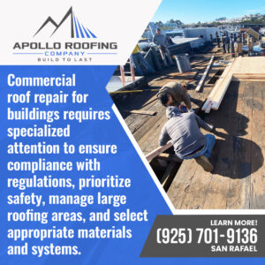 Apollo Roofing Company San Rafael 1 4