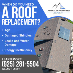 Apollo Roofing Company Walnut Creek 1 2