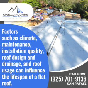 Apollo Roofing Company San Rafael 6 6