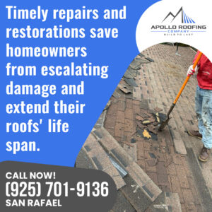 Apollo Roofing Company San Rafael 1 6