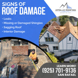 Apollo Roofing Company San Rafael 3 10