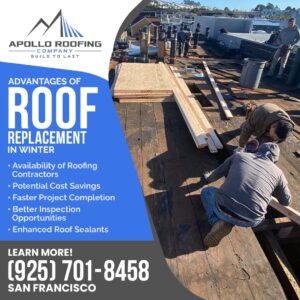 Apollo Roofing Company San Francisco 1 6