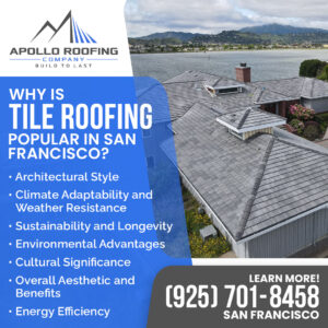 Apollo Roofing Company San Francisco 3 1