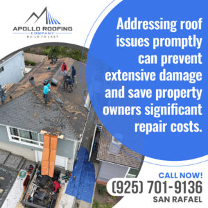 Apollo Roofing Company San Rafael 3