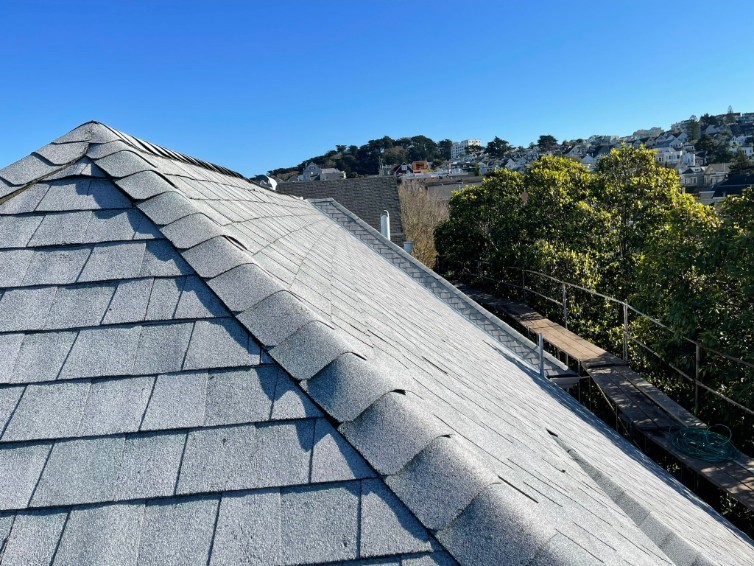 The Dangers of Ignoring a Roof Leak