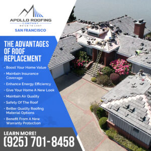 Apollo Roofing Company San Francisco 5 3