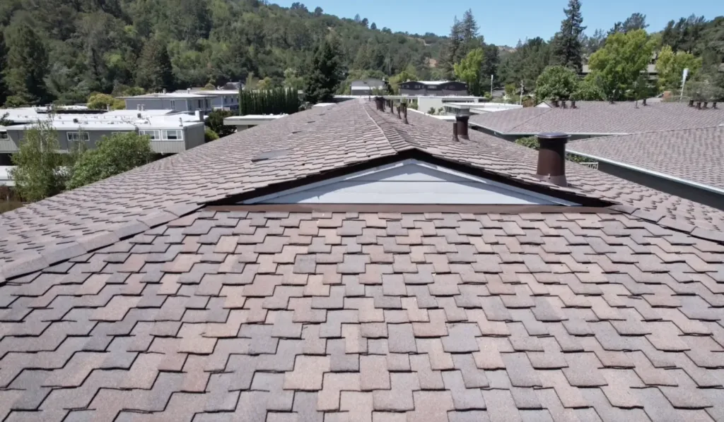 Comparing Quotes from Local Roofing Companies