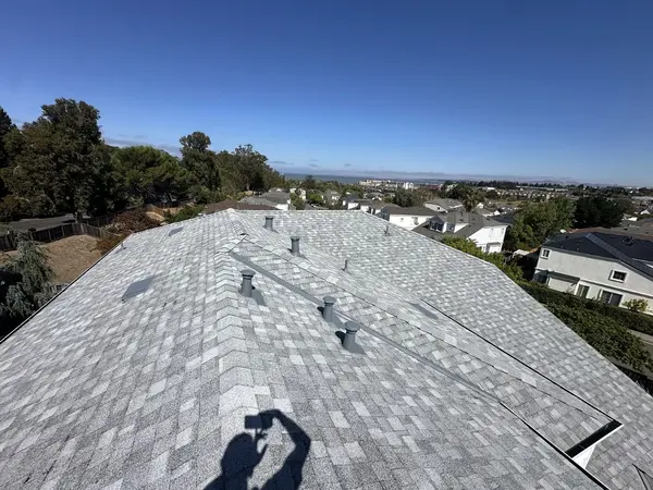  shingle roof replacement contractors in San Francisco