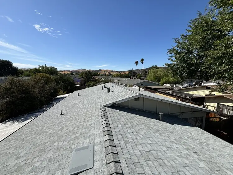 Why You Need a Professional Roof Repair Company