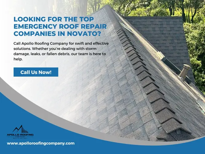 How to Respond to Roof Emergencies