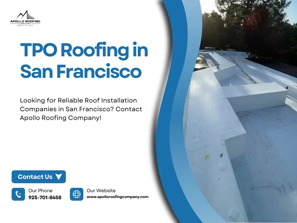 TPO Roofing Company in San Francisco 